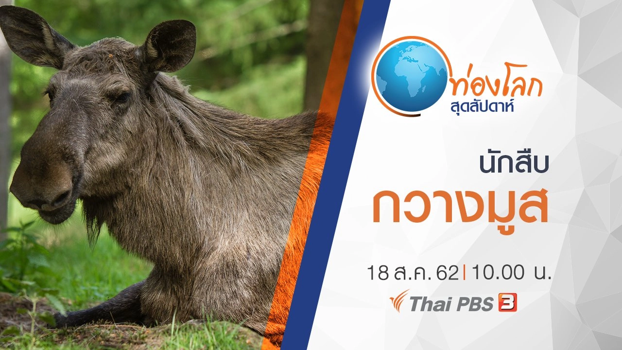 นักสืบกวางมูส