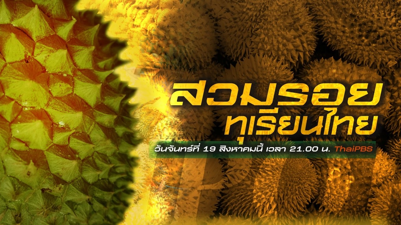 สวมรอยทุเรียนไทย