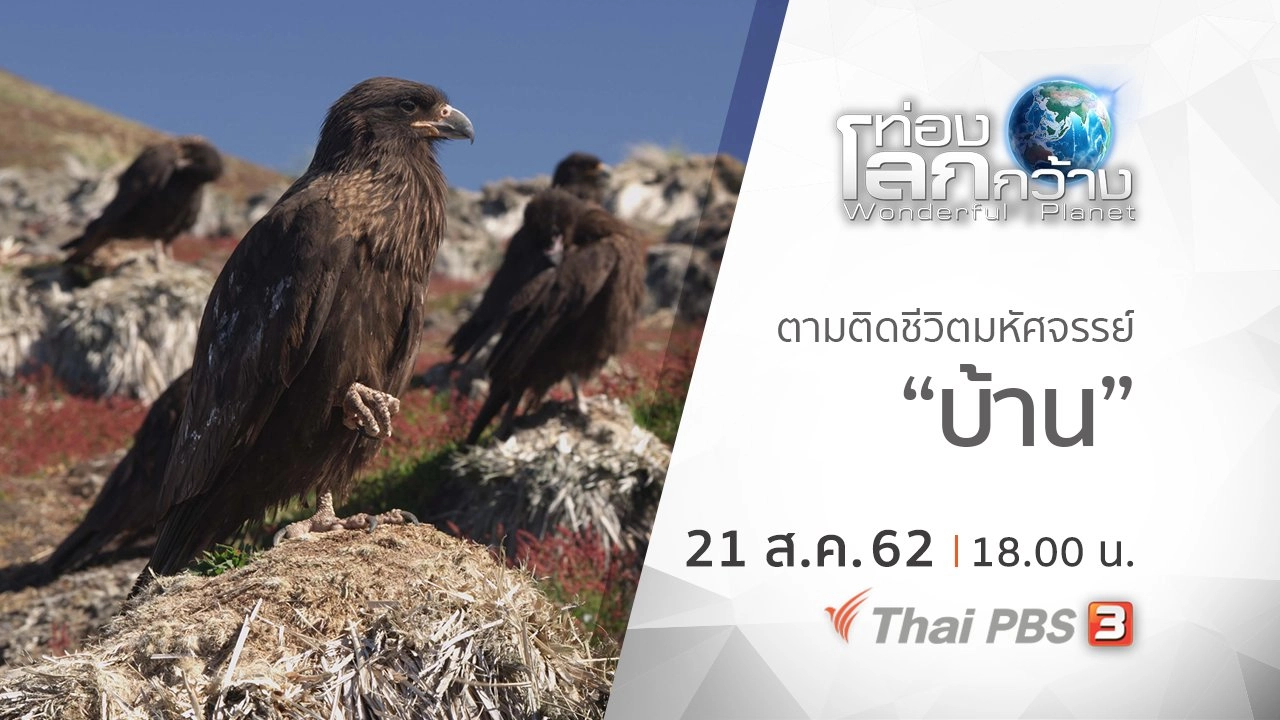 ตามติดชีวิตมหัศจรรย์ ตอน บ้าน