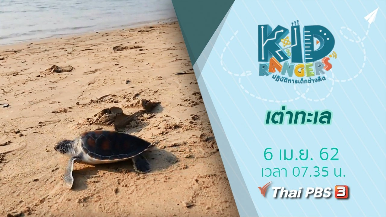 เต่าทะเล