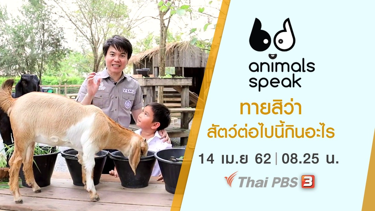 ทายสิว่าสัตว์ต่อไปนี้กินอะไร