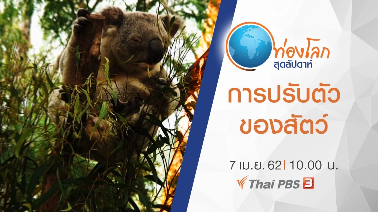 เปิดโลกสัตว์หรรษา ตอน การปรับตัวของสัตว์
