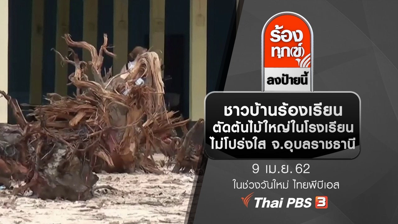 ชาวบ้านร้องเรียนตัดต้นไม้ใหญ่ในโรงเรียนไม่โปร่งใส จ.อุบลราชธานี