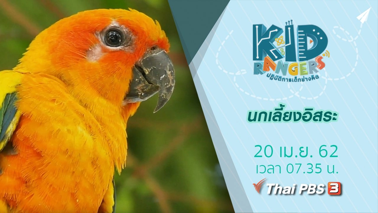 นกเลี้ยงอิสระ