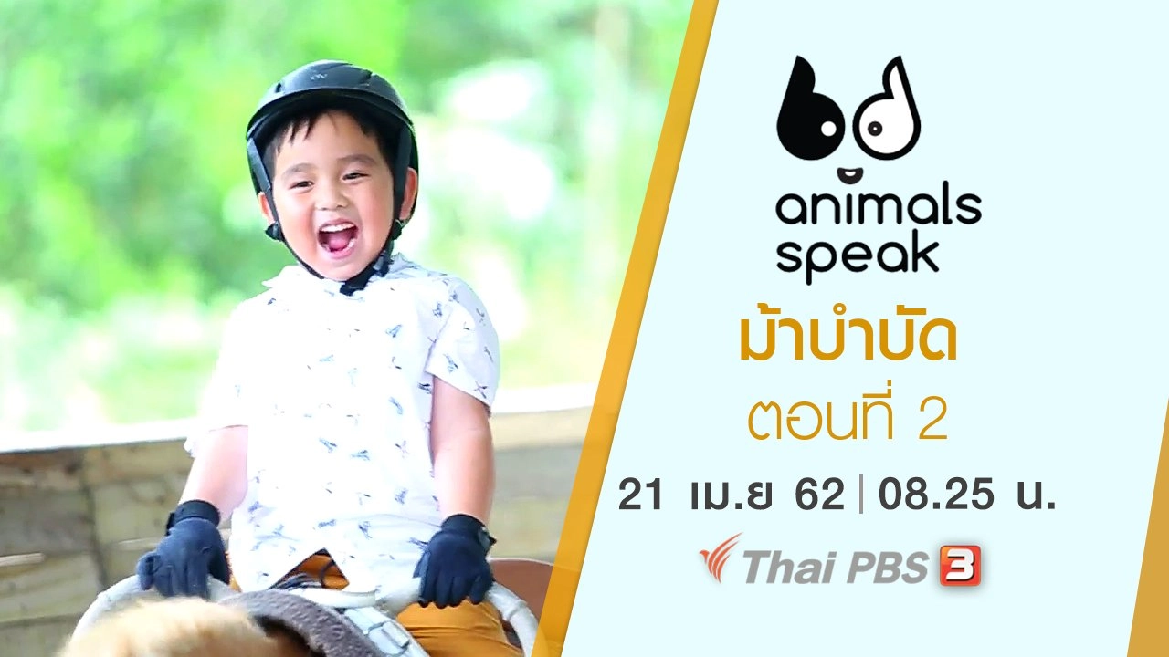 ม้าบำบัด ตอนที่ 2