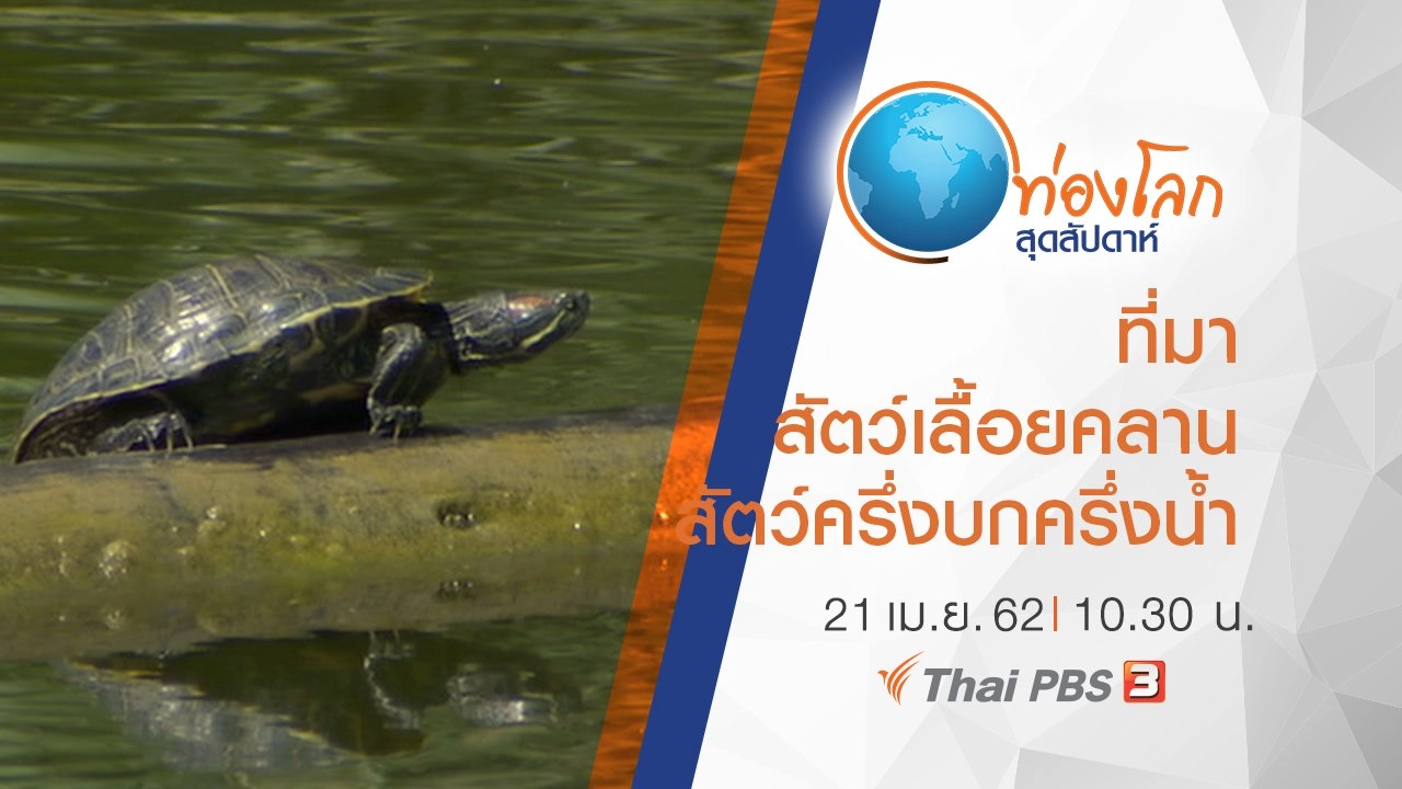 เปิดโลกสัตว์หรรษา ตอน ที่มาสัตว์เลื้อยคลานและสัตว์ครึ่งบกครึ่งน้ำ