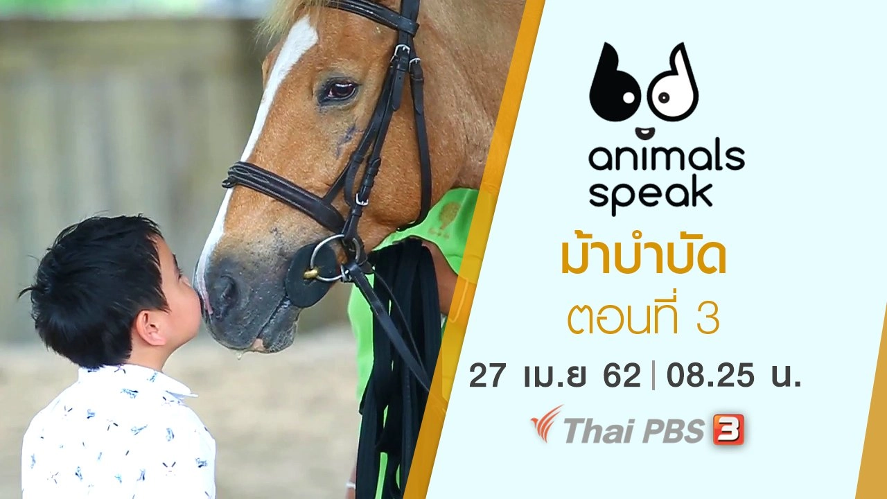 ม้าบำบัด ตอนที่ 3