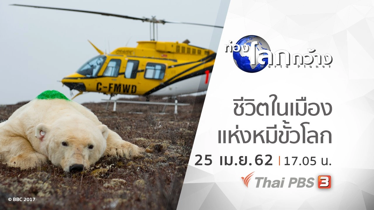 ท่องแดนอาร์กติก ตอน ชีวิตในเมืองแห่งหมีขั้วโลก