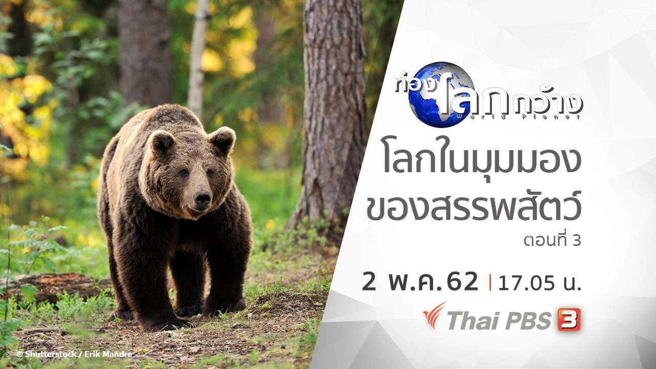 โลกในมุมมองของสรรพสัตว์ ตอนที่ 3