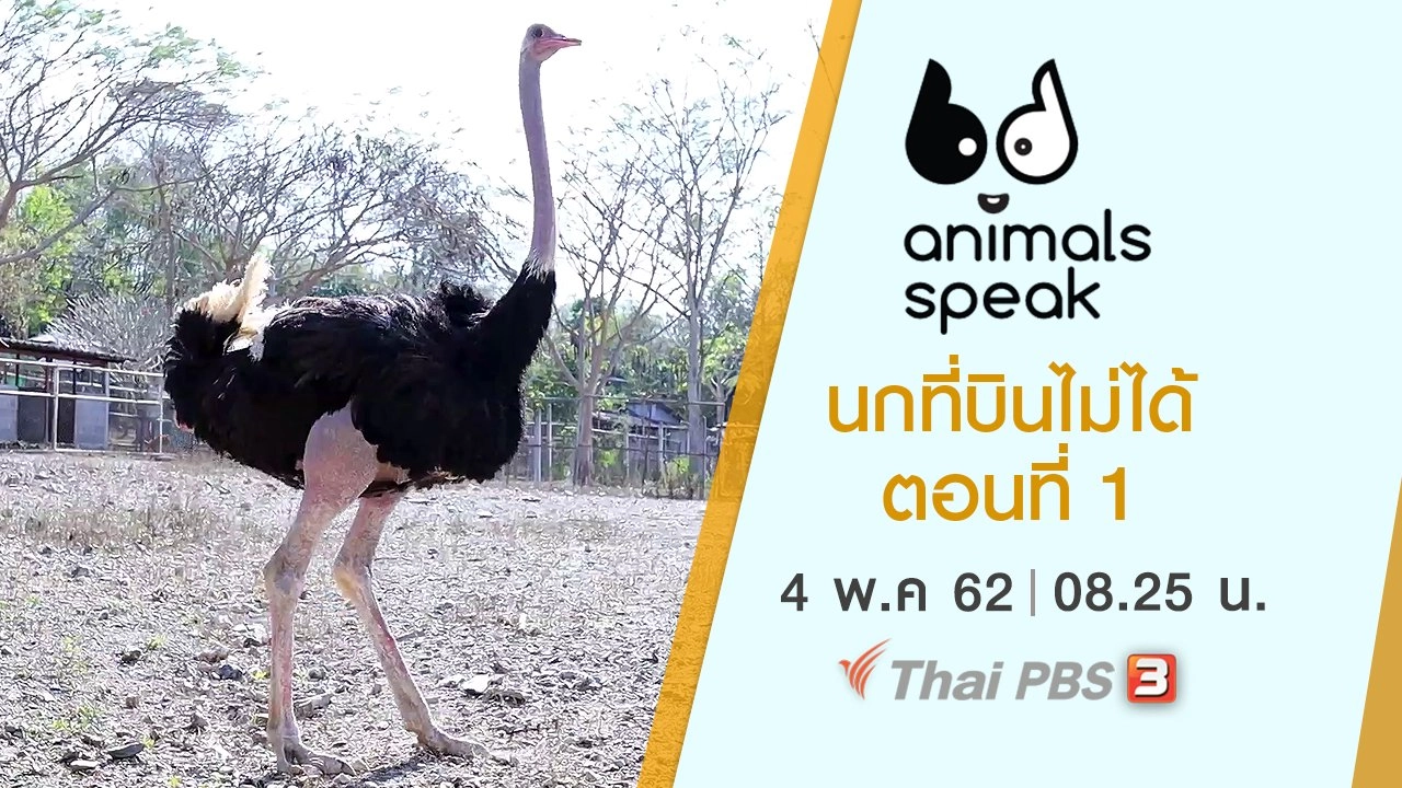 นกที่บินไม่ได้ ตอนที่ 1