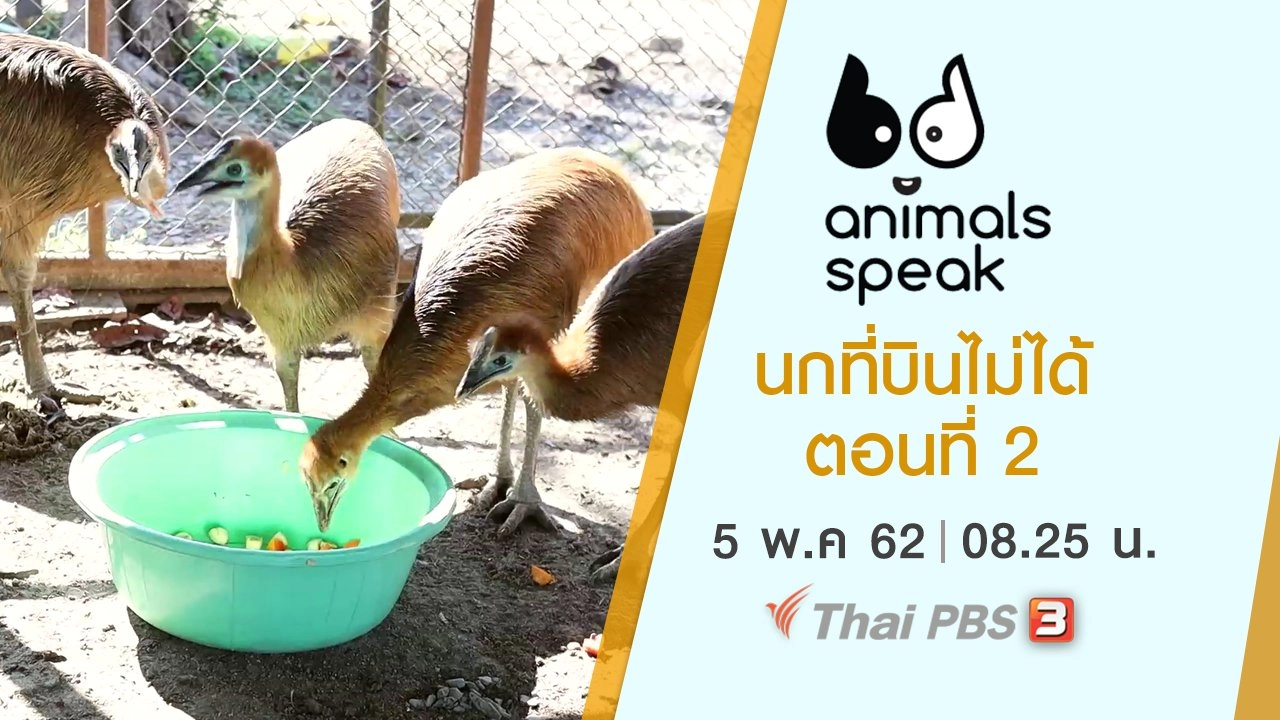 นกที่บินไม่ได้ ตอนที่ 2