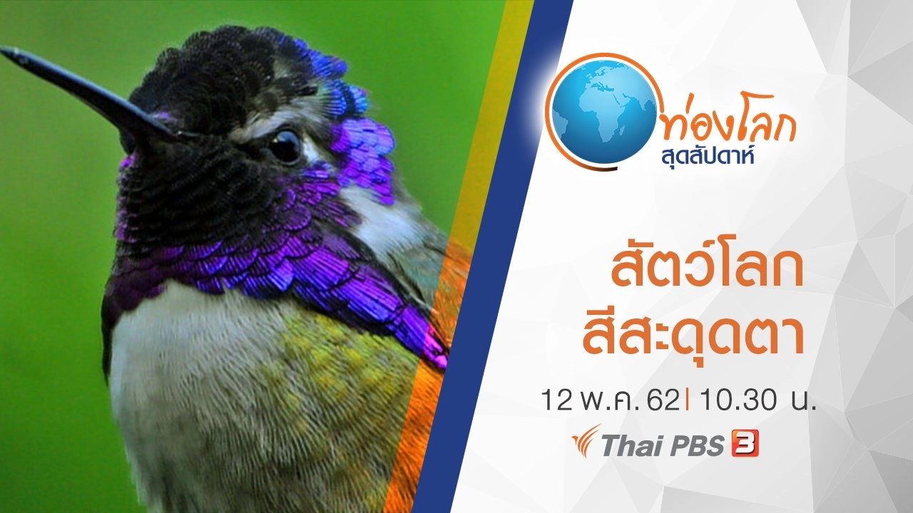 เปิดโลกสัตว์หรรษา ตอน สัตว์โลกสีสะดุดตา