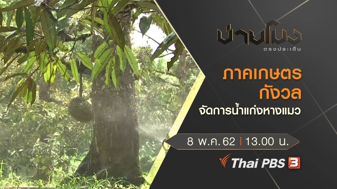 ประเด็นข่าว (8 พ.ค. 62)