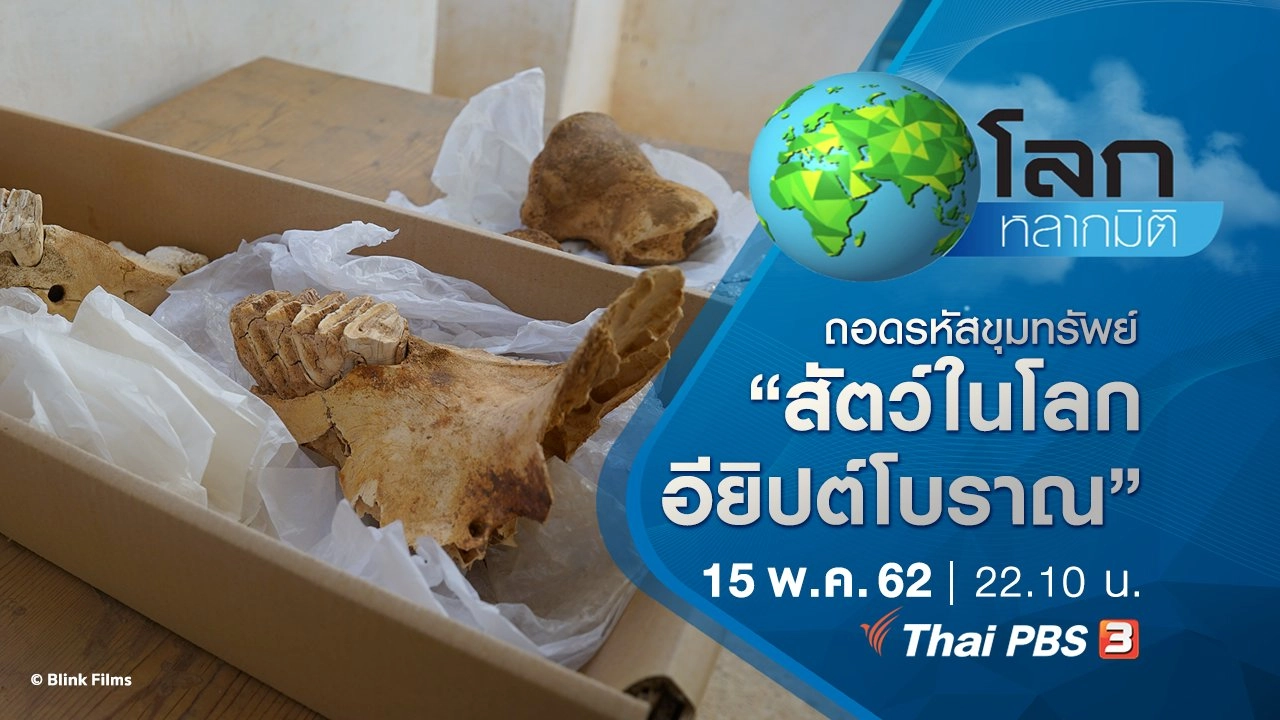 ถอดรหัสขุมทรัพย์ ตอน สัตว์ในโลกอียิปต์โบราณ