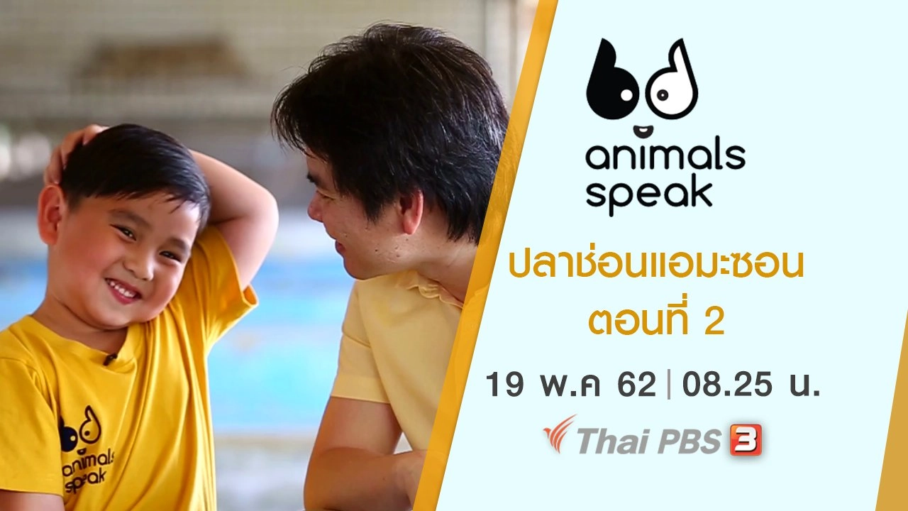 ปลาช่อนแอมะซอน ตอนที่ 2