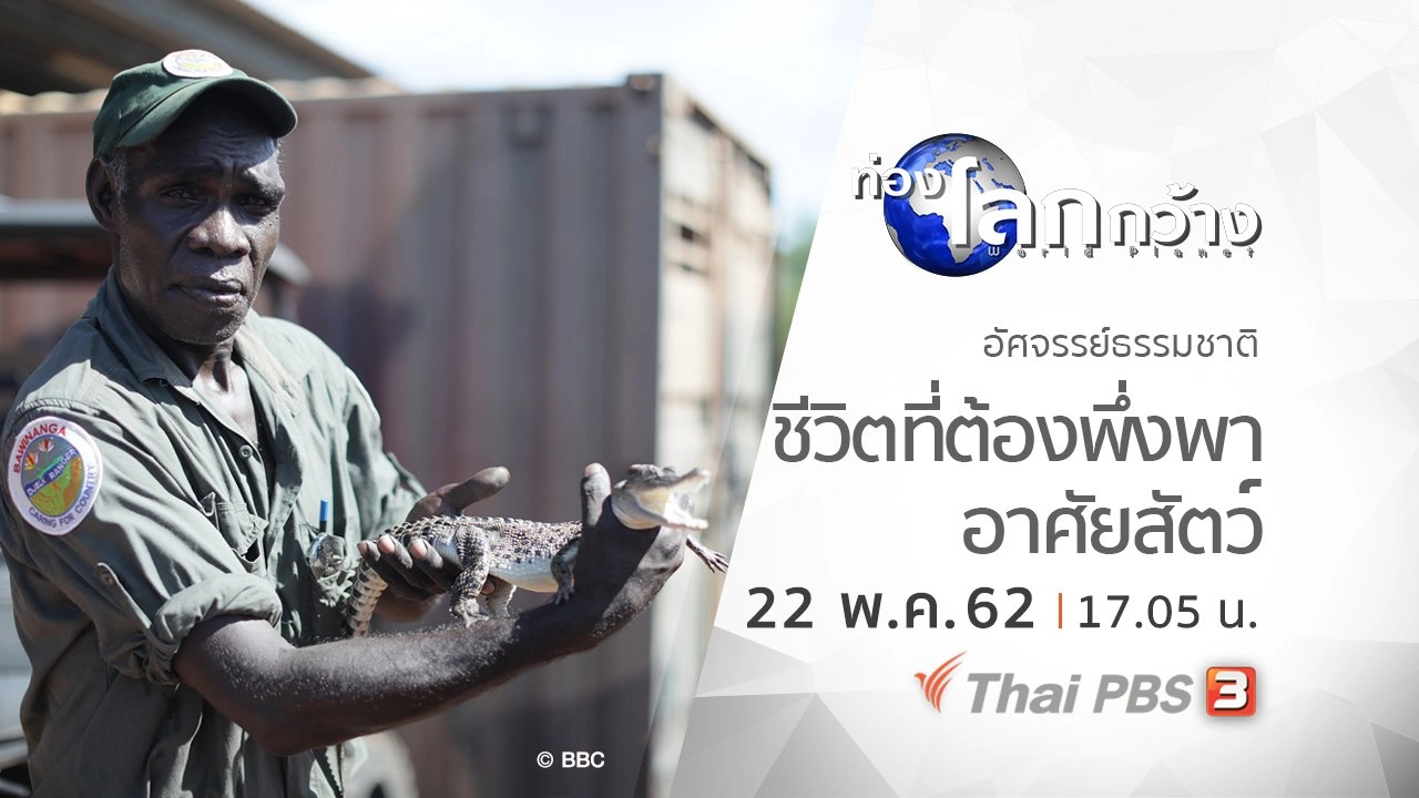 อัศจรรย์ธรรมชาติ ตอน ชีวิตที่ต้องพึ่งพาอาศัยสัตว์