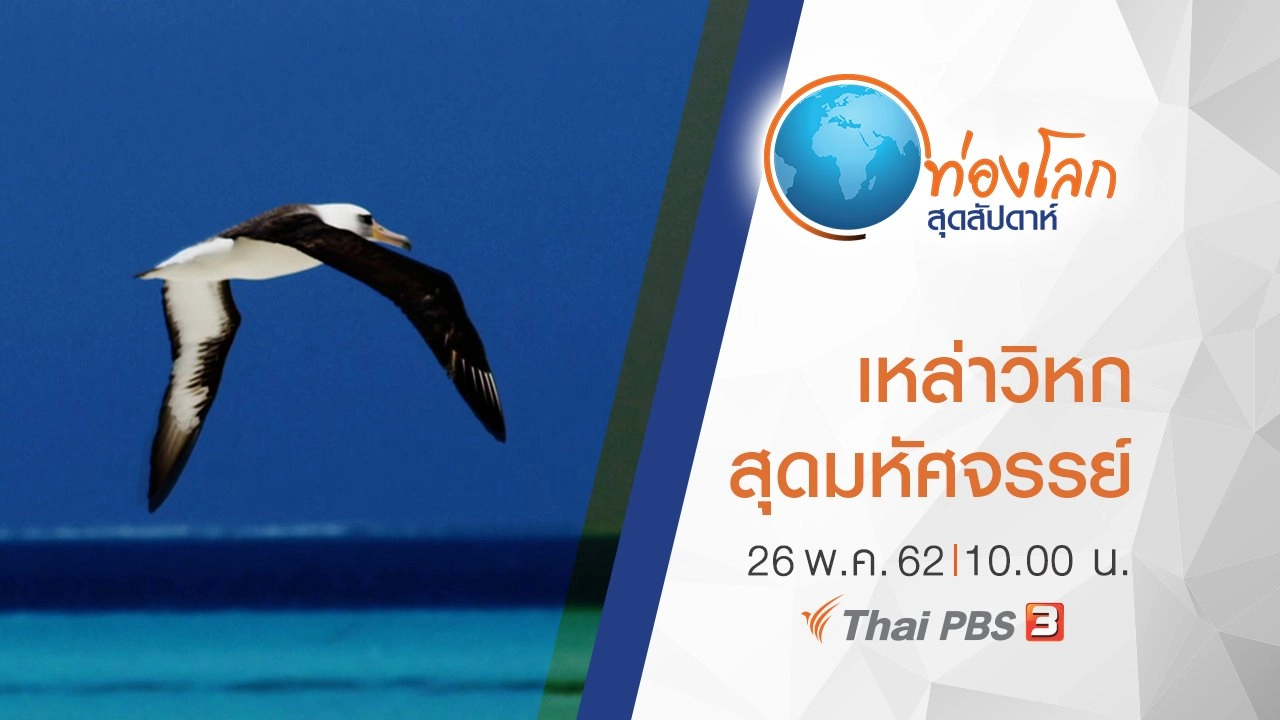 เปิดโลกสัตว์หรรษา ตอน เหล่าวิหกสุดมหัศจรรย์