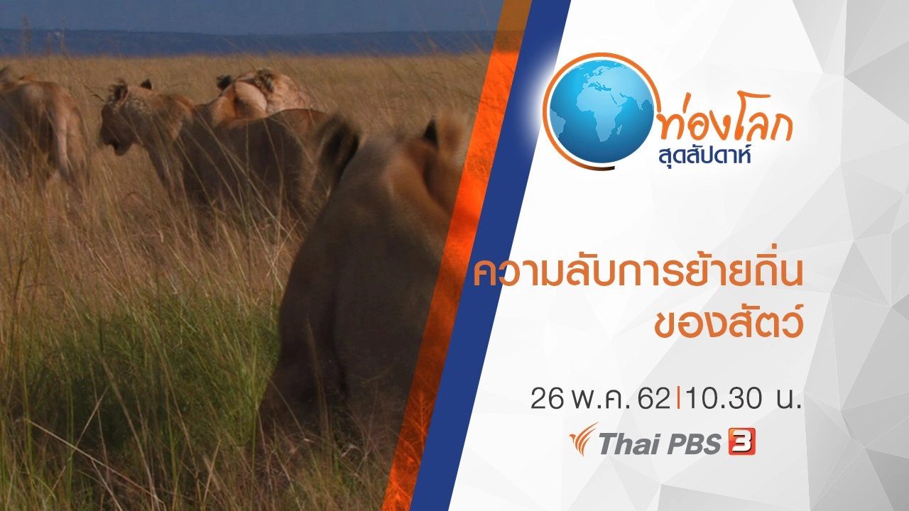 เปิดโลกสัตว์หรรษา ตอน ความลับการย้ายถิ่นของสัตว์