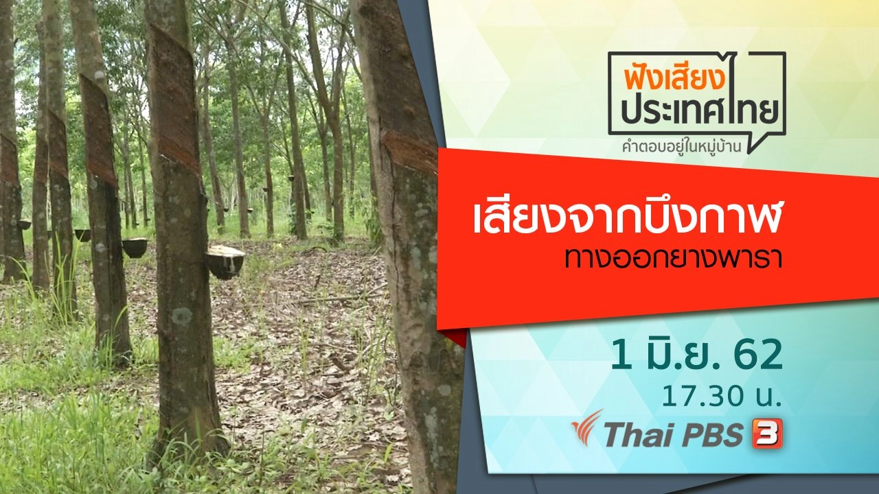 เสียงจากบึงกาฬ ทางออกยางพารา