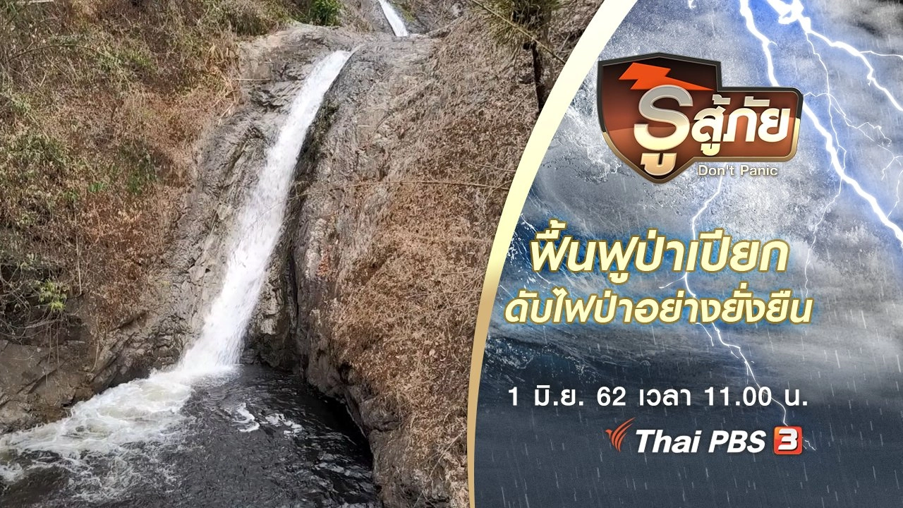 ฟื้นฟูป่าเปียก ดับไฟป่าอย่างยั่งยืน