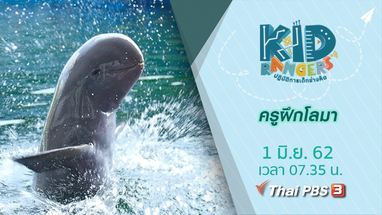 ครูฝึกโลมา