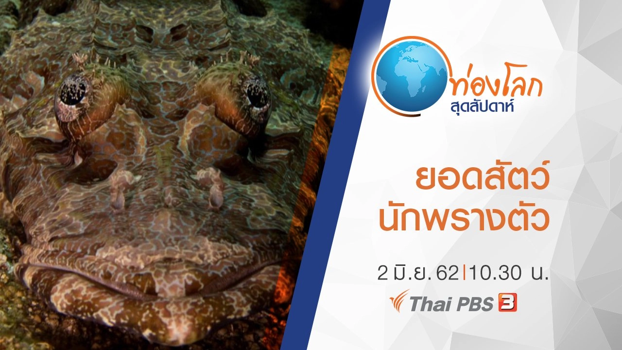 เปิดโลกสัตว์หรรษา ตอน ยอดสัตว์นักพรางตัว