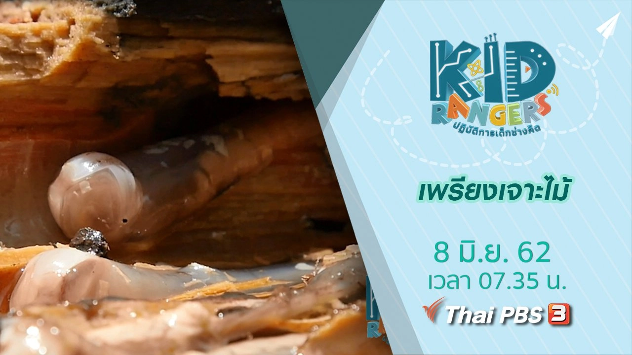 เพรียงเจาะไม้