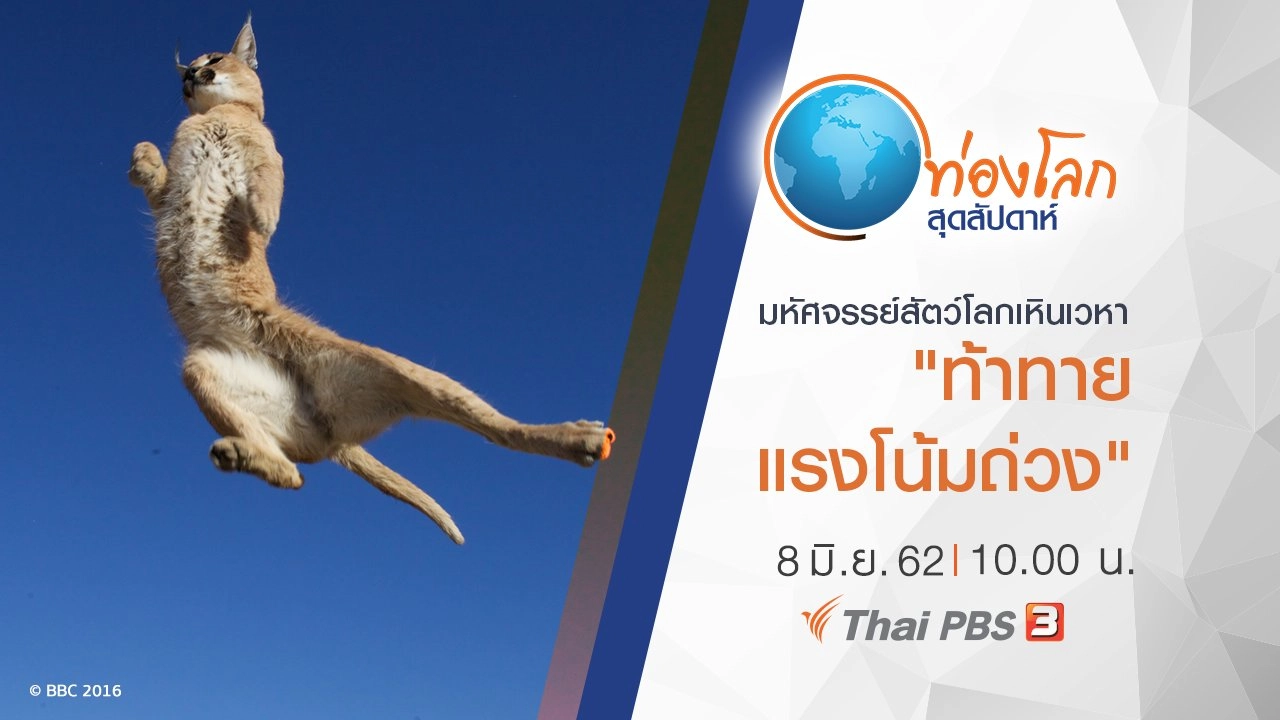 มหัศจรรย์สัตว์โลกเหินเวหา ตอน ท้าทายแรงโน้มถ่วง