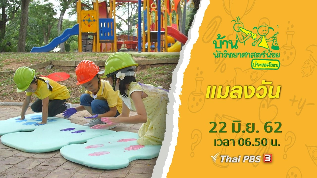 แมลงวัน