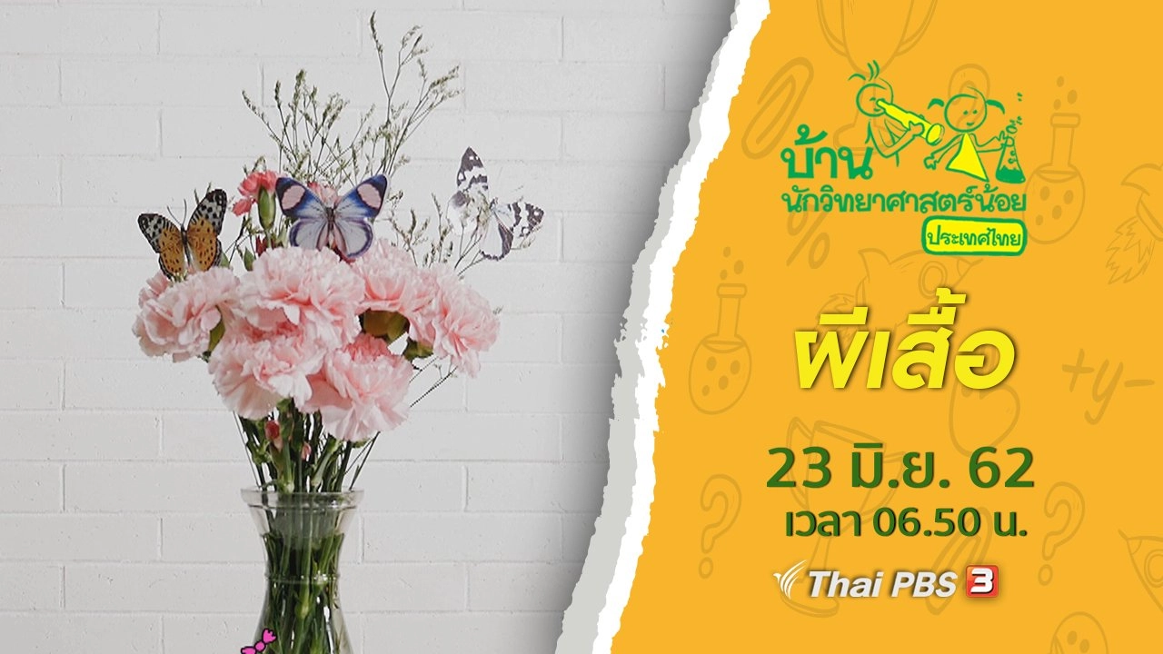 ผีเสื้อ