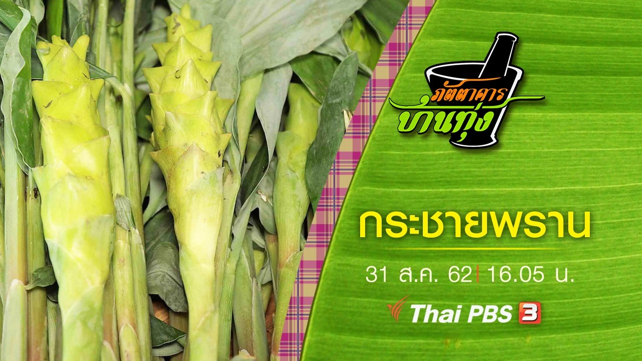 กระชายพราน