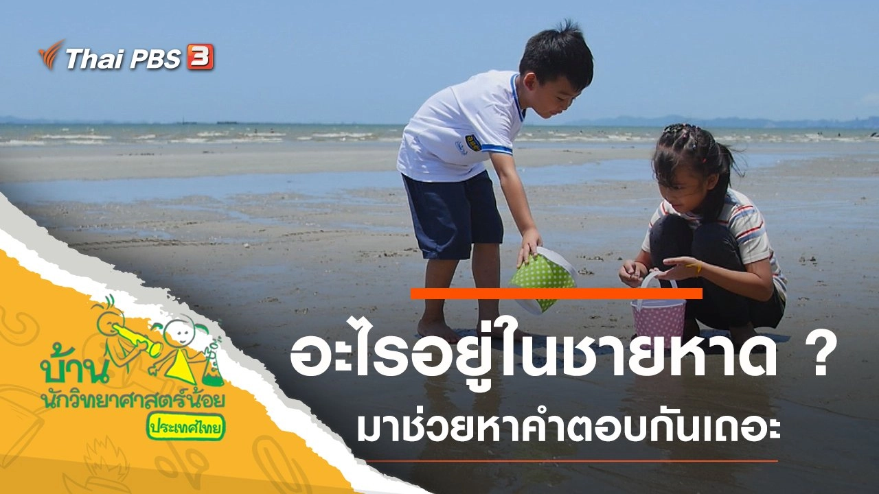 อะไรอยู่ในชายหาด ?