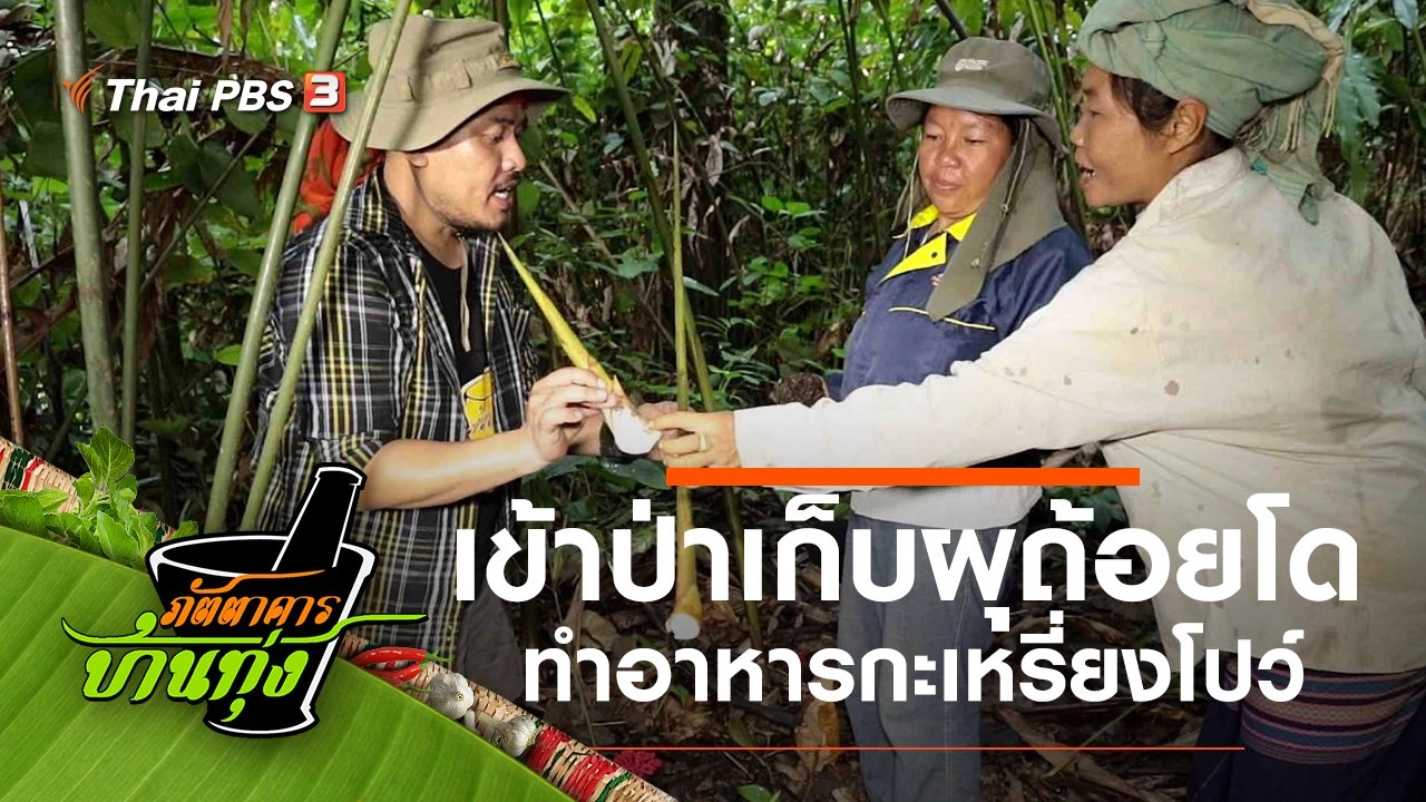 ผุถ้อยโด