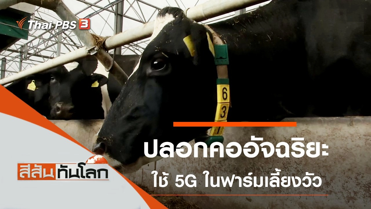 ประเด็นข่าว (7 ก.ย. 62)