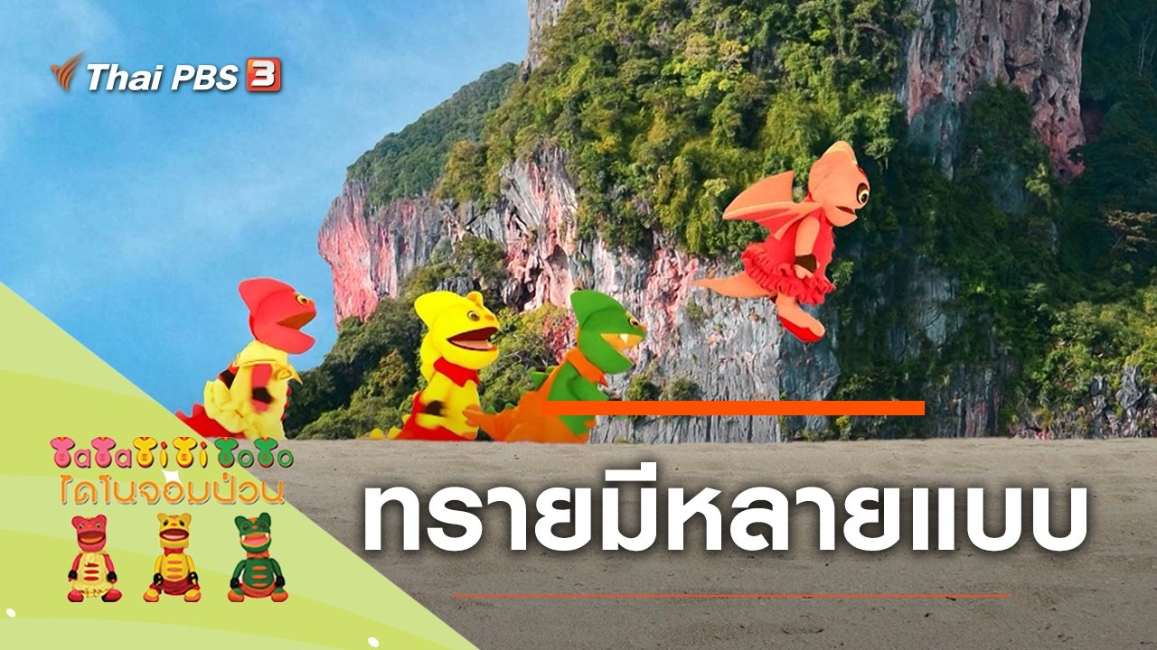 ทรายมีหลายแบบ