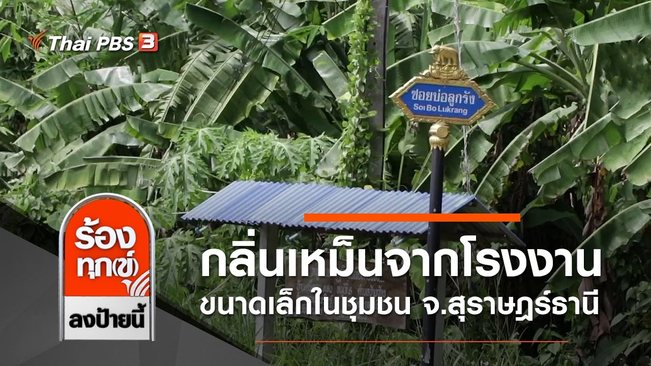 กลิ่นเหม็นจากโรงงานขนาดเล็กในชุมชน จ.สุราษฎร์ธานี