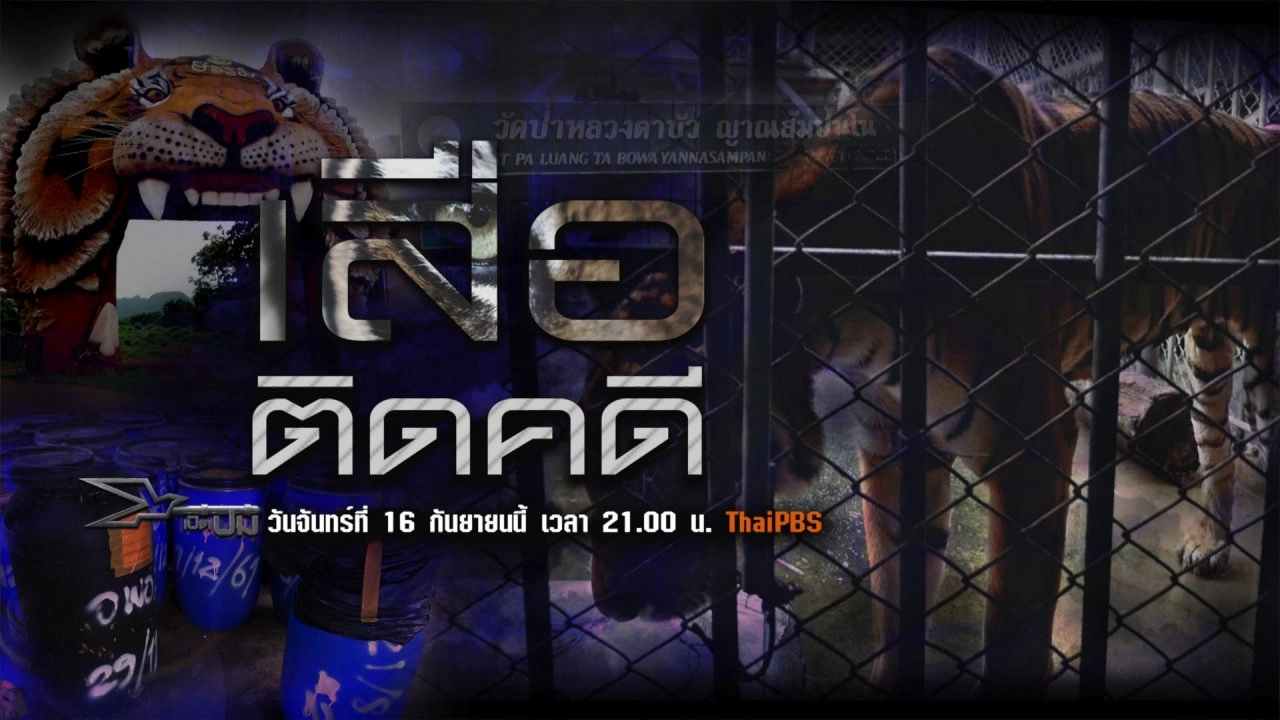 เสือติดคดี