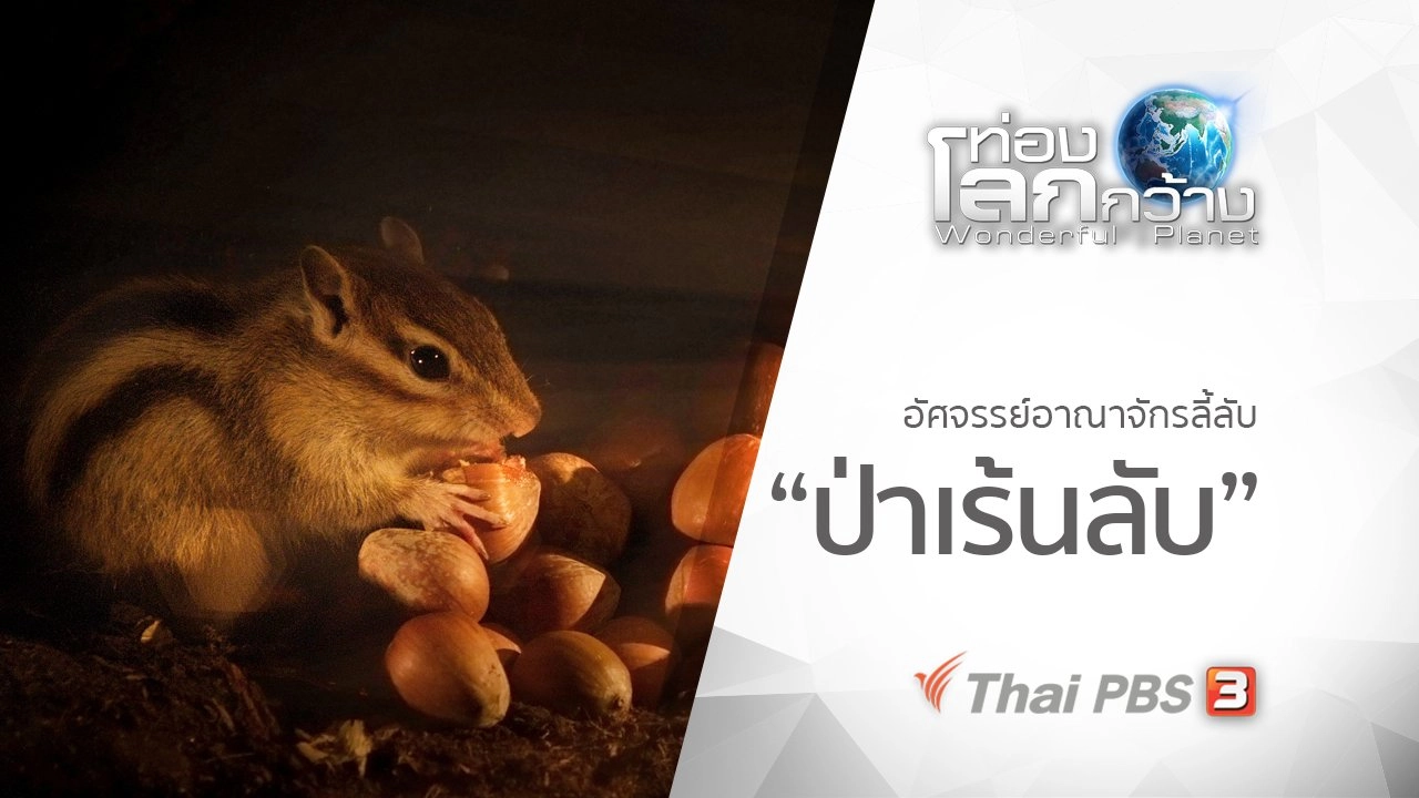 อัศจรรย์อาณาจักรลี้ลับ ตอน ป่าเร้นลับ