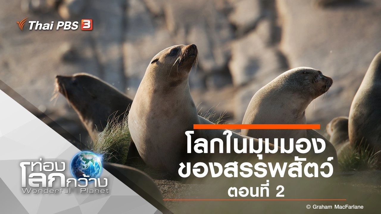 โลกในมุมมองของสรรพสัตว์ ตอนที่ 2