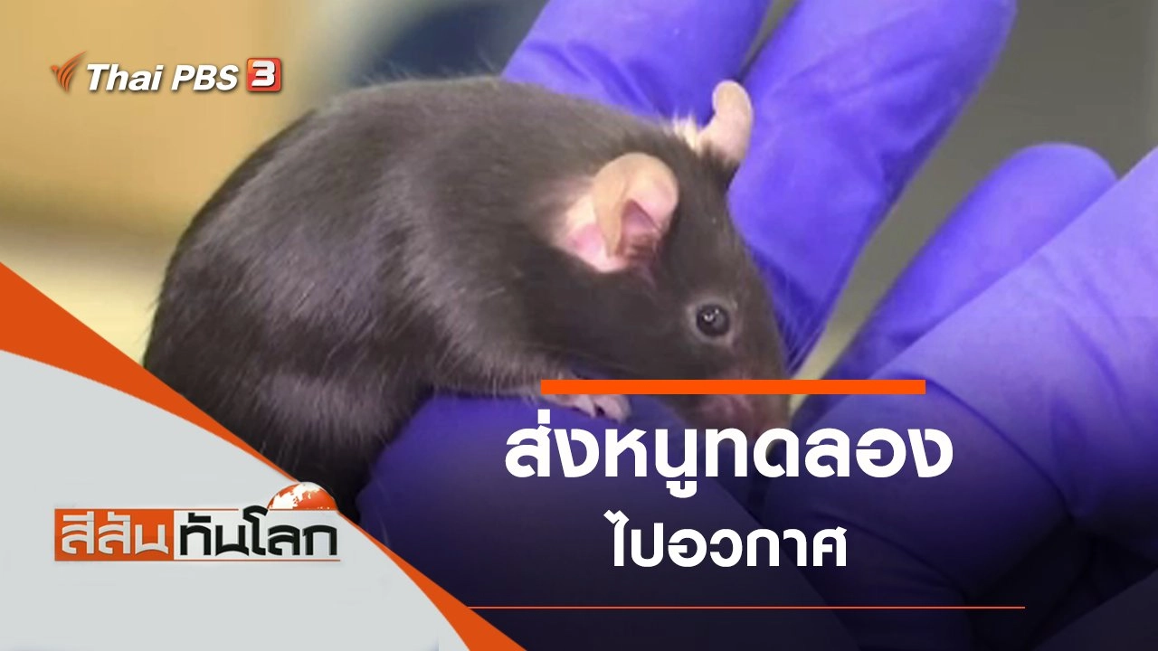 ประเด็นข่าว (7 ธ.ค. 62)