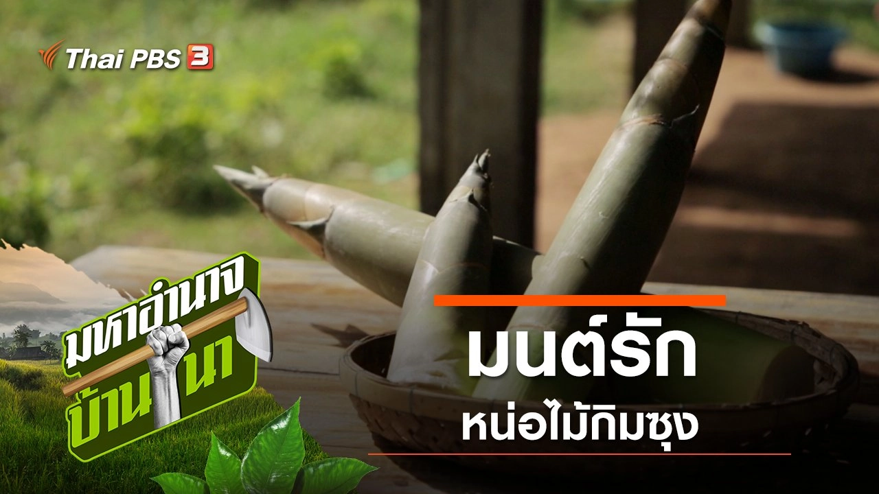 มนต์รักหน่อไม้กิมซุง