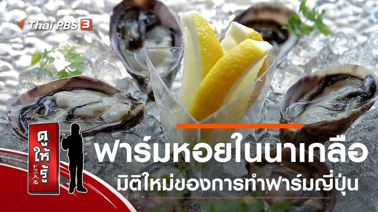 ฟาร์มหอยในนาเกลือ มิติใหม่ของการทำฟาร์มญี่ปุ่น