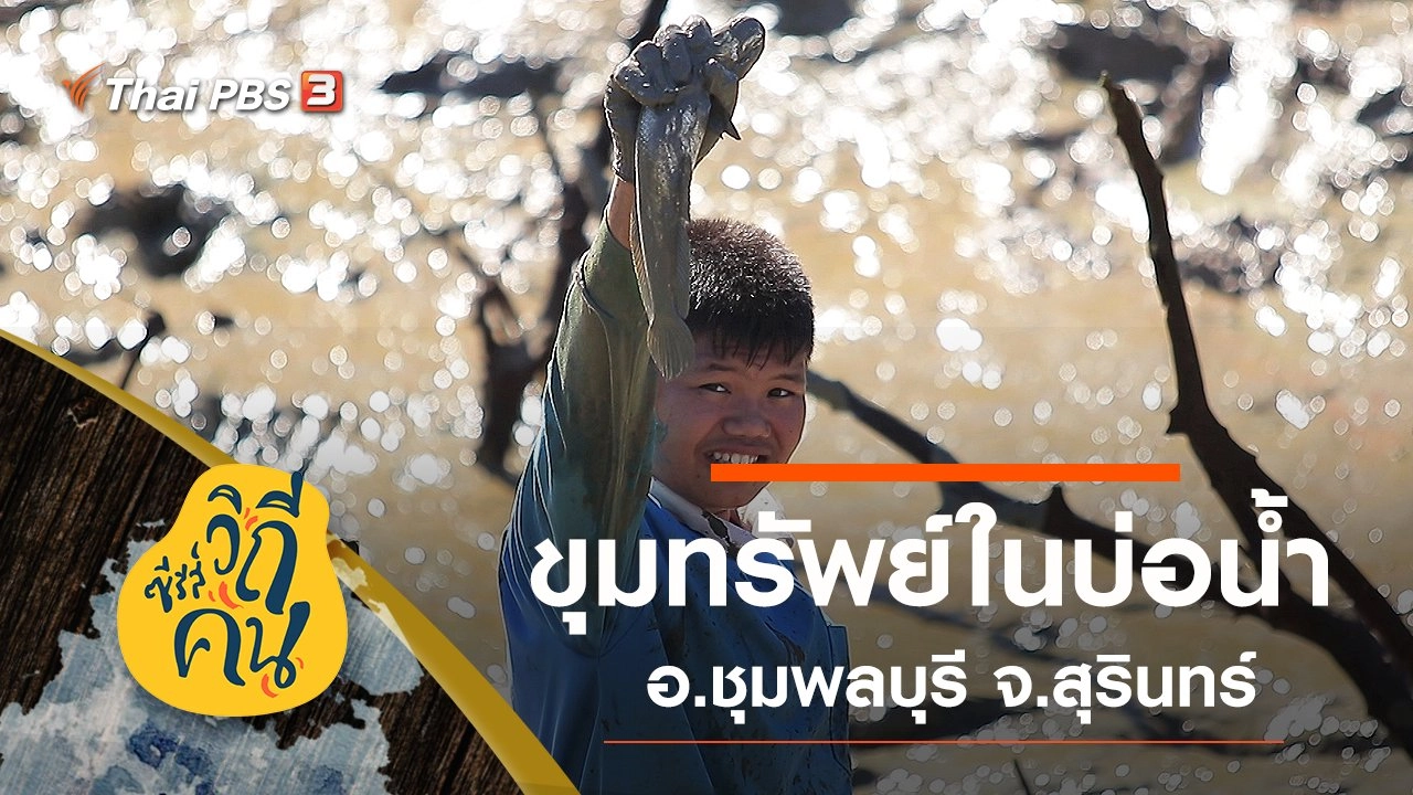 ขุมทรัพย์ในบ่อน้ำ อ.ชุมพลบุรี จ.สุรินทร์