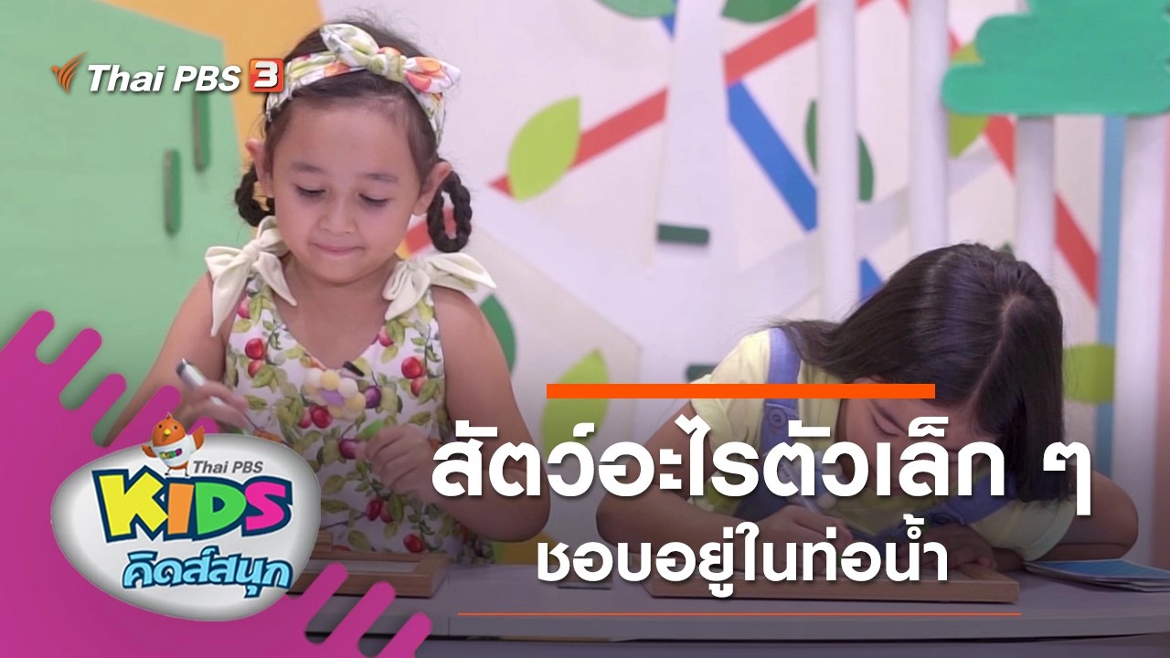 สัตว์อะไรตัวเล็ก ๆ ชอบอยู่ในท่อน้ำ