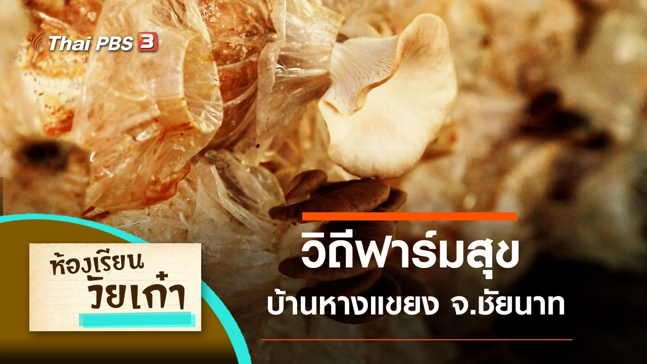 วิถีฟาร์มสุข บ้านหางแขยง จ.ชัยนาท