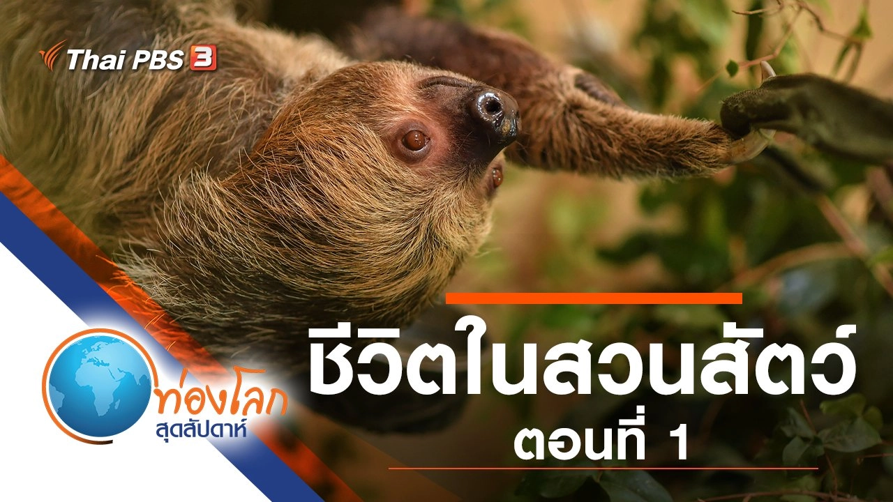 ชีวิตในสวนสัตว์ ตอนที่ 1