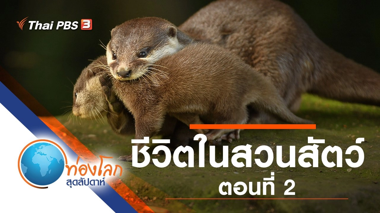 ชีวิตในสวนสัตว์ ตอนที่ 2