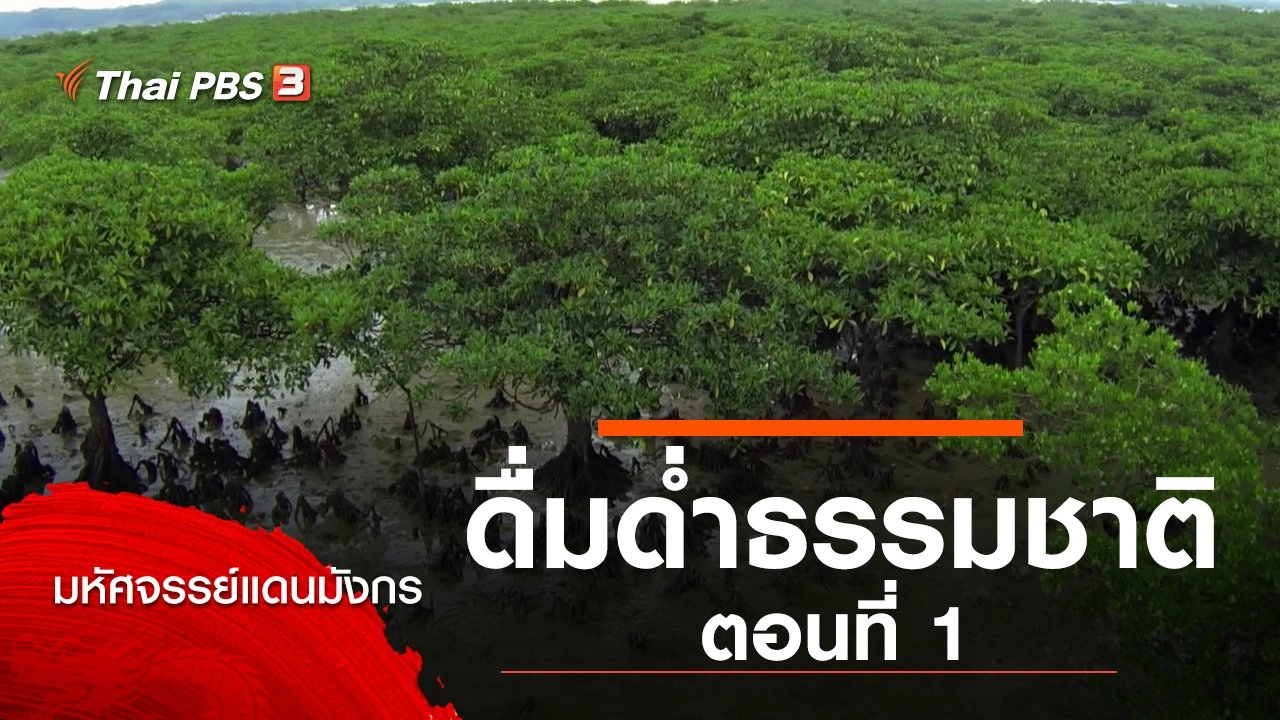 ดื่มด่ำธรรมชาติ ตอนที่ 1