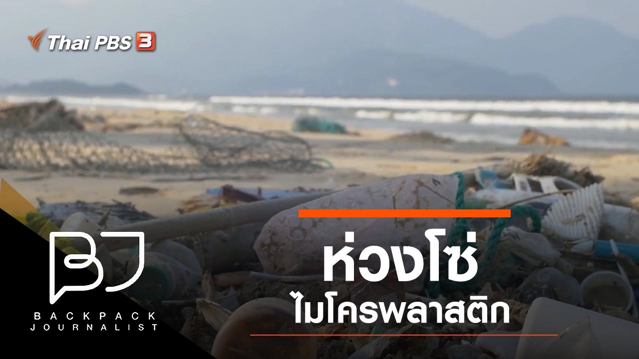 ห่วงโซ่ไมโครพลาสติก