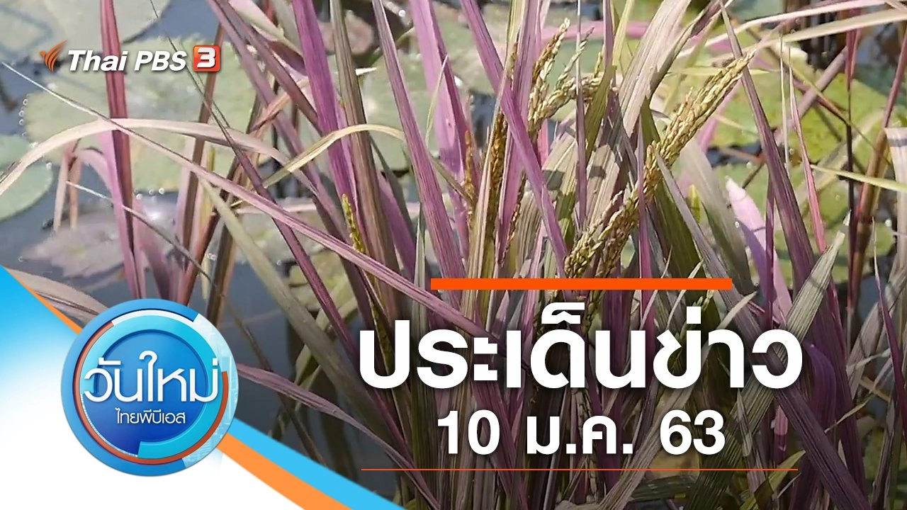 วันใหม่  ไทยพีบีเอส